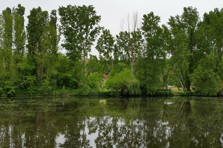 Vézère river sides in Aubas