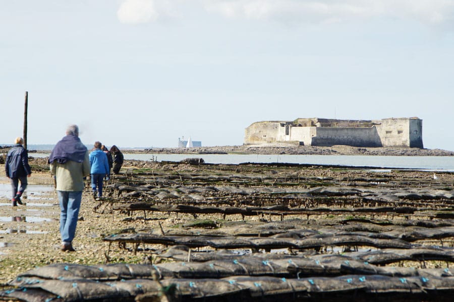 Fort Boyard