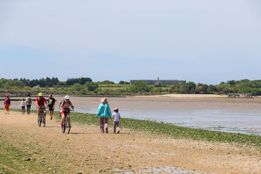Ile Madame Passe aux boeufs