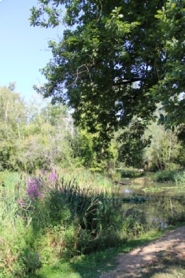 Bras de Seine, Seine-Port Bras de Seine, Seine-Port